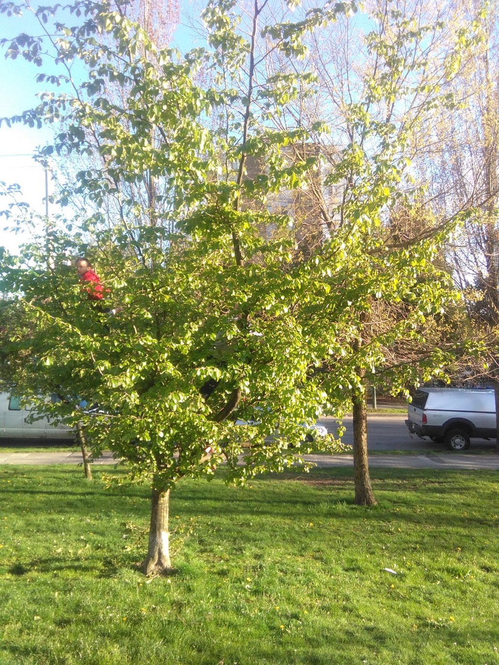 Alice Townley Park | 1775 Woodland Dr, Vancouver, BC V5N 3N6, Canada | Phone: (604) 257-8158