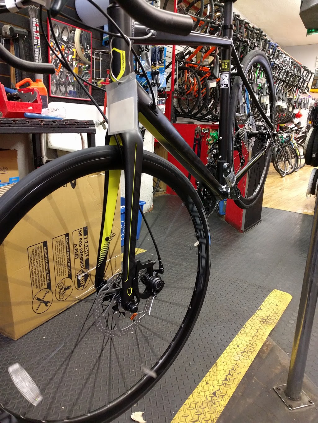 Cyclepath Norco | 2106 Yonge St, Toronto, ON M4S 2A5, Canada | Phone: (416) 485-2453
