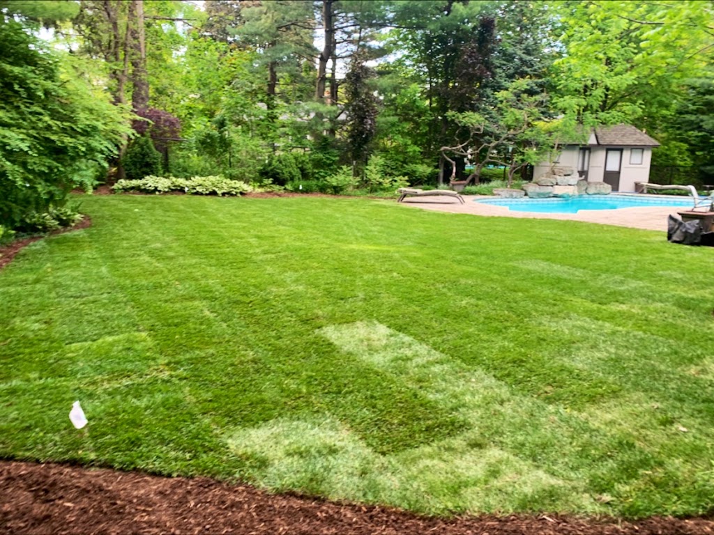 Bee Green Landscaping | 233 Concession 4 W, Millgrove, ON L0R 1V0, Canada | Phone: (289) 800-0380