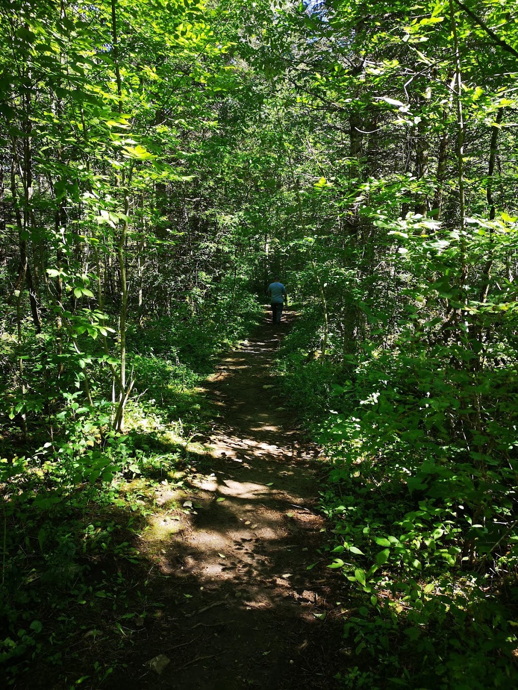 Balsam Lake Provincial Park Beach | Kawartha Lakes, ON K0M 1K0, Canada | Phone: (705) 454-3324