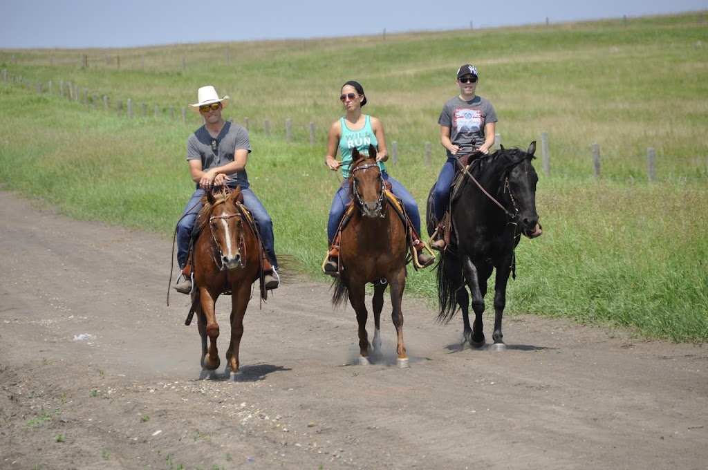 Rocky Hills Ranch | 434011 32st West 434 Ave and 32st West RR1 Site 7 Box 58, Okotoks, AB T1S 1A1, Canada | Phone: (403) 863-2484