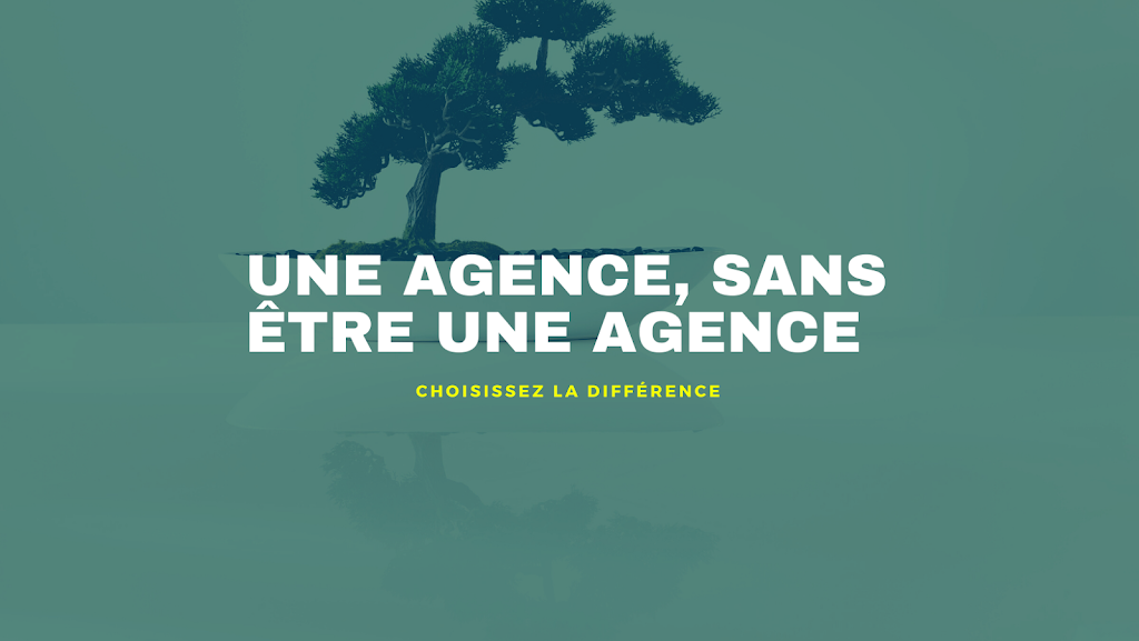 Bonzai Marketing | 964 Rue Einstein, Repentigny, QC J5Y 0A4, Canada | Phone: (450) 602-6333