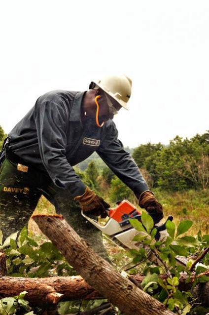 Davey Tree Expert Co. of Canada, Limited | 1354 Chippawa Creek Rd, Port Robinson, ON L0S 1K0, Canada | Phone: (905) 684-2087