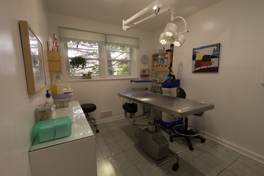 Clinique Veterinaire Fontaine | 495 Boulevard dIberville, Saint-Jean-sur-Richelieu, QC J2X 3Y8, Canada | Phone: (450) 347-5964