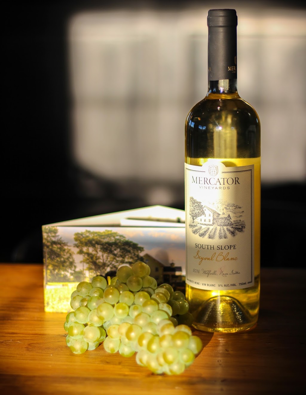 Mercator Vineyards | 88 Dyke Rd, Wolfville, NS B4P 2R1, Canada | Phone: (902) 542-7770