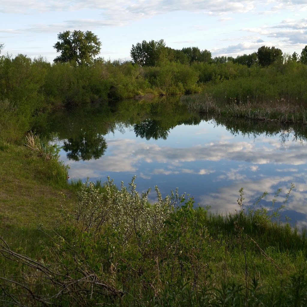 Silverland Camp | Foothills No. 31, AB T1V 1N6, Canada