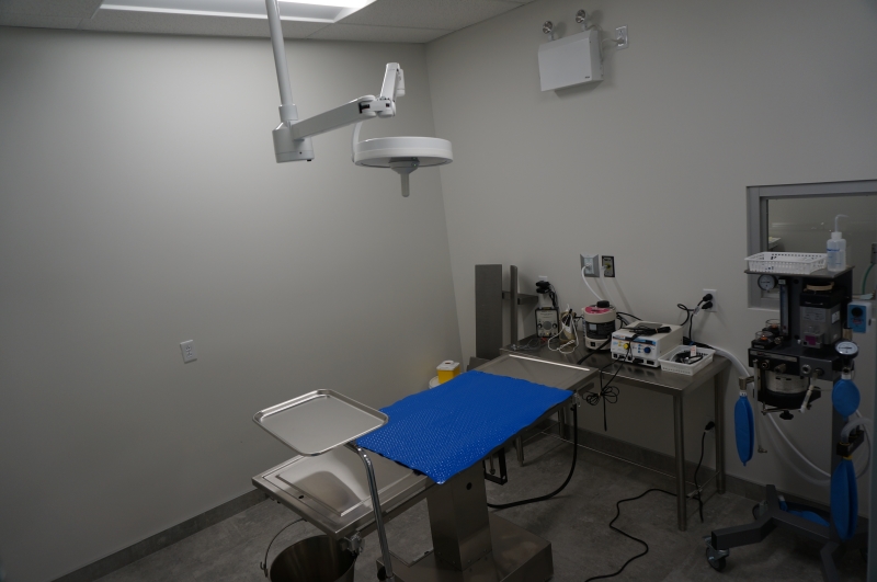 Clinique Vétérinaire Saint-Canut | 14000 Rue Saint-Simon, Mirabel, QC J7N 1P4, Canada | Phone: (450) 436-2043