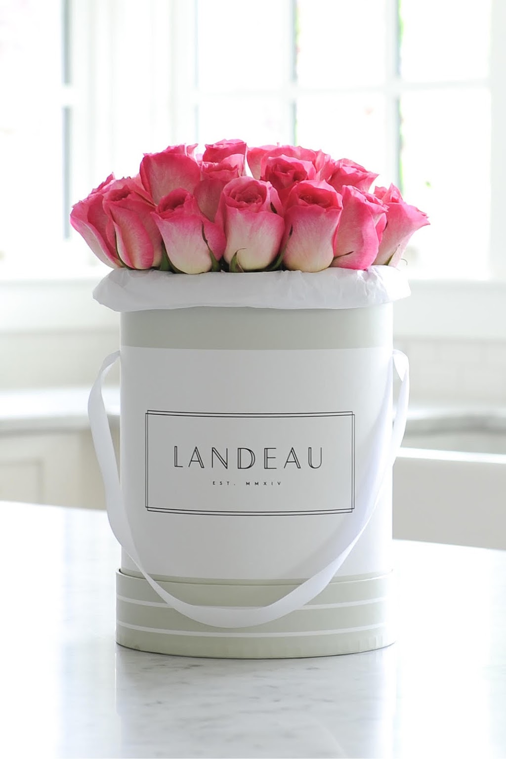 Landeau | Toronto | 559 Parliament St, Toronto, ON M4X 1P7, Canada | Phone: (778) 996-7752