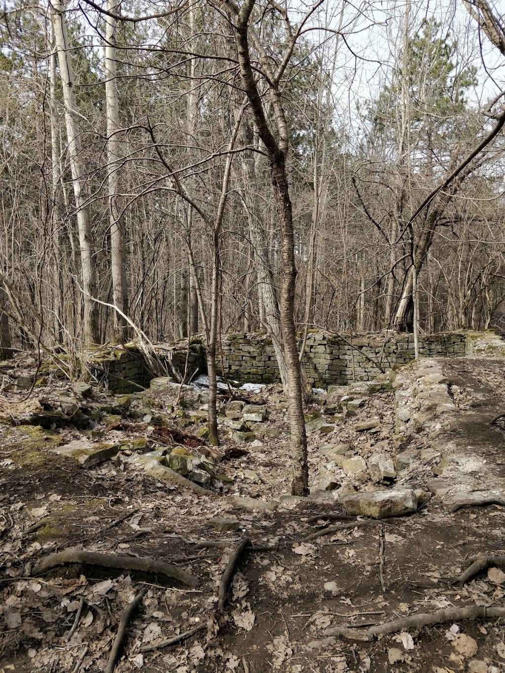 NCC Greenbelt P11 | NCC 26, Ottawa, ON K2R 1H4, Canada