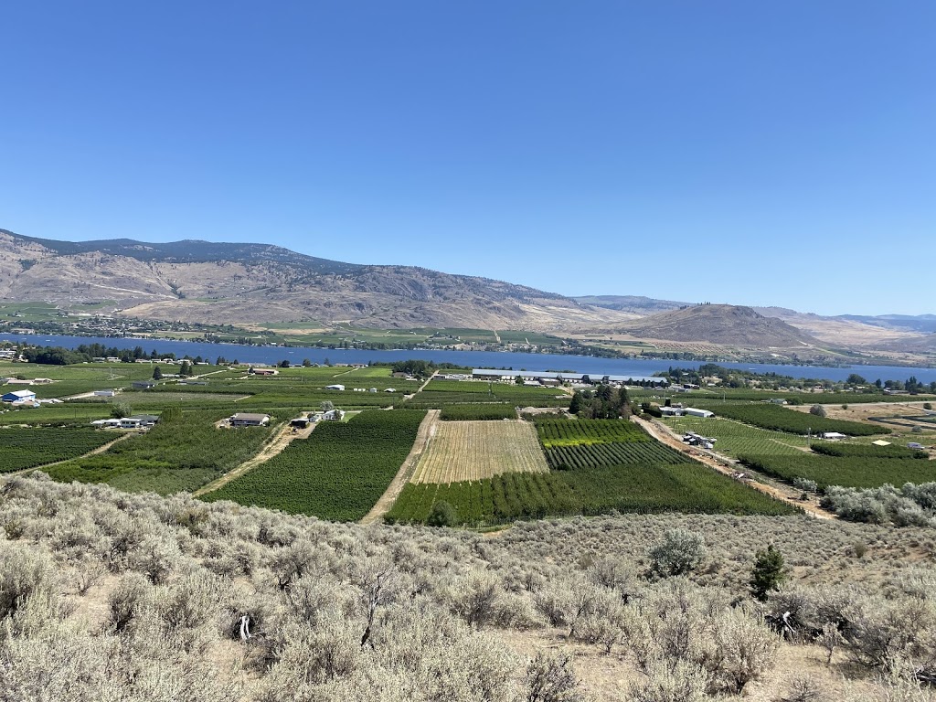 Sun Hills Riding Centre | 3800 Golf Course Dr, Osoyoos, BC V0H 1V4, Canada | Phone: (250) 408-9990