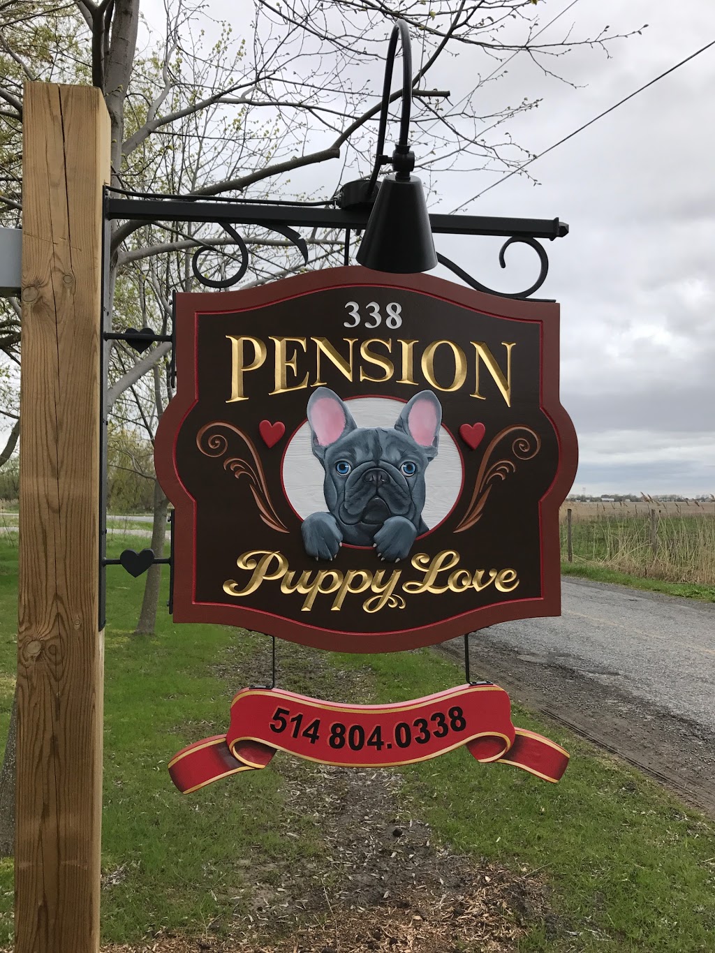 Pension Puppy Love | pet store | 338 Chemin Saint-Édouard, Saint-Mathieu, QC J0L 2H0, Canada | 5148040338 OR +1 514-804-0338