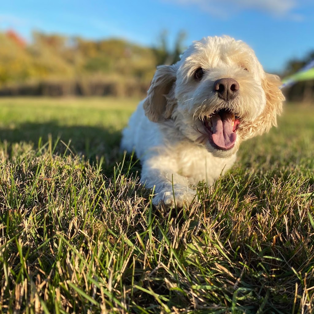 Furry Friends Pet Resort | 5455 Langmaid Rd, Hampton, ON L0B 1J0, Canada | Phone: (905) 725-6210