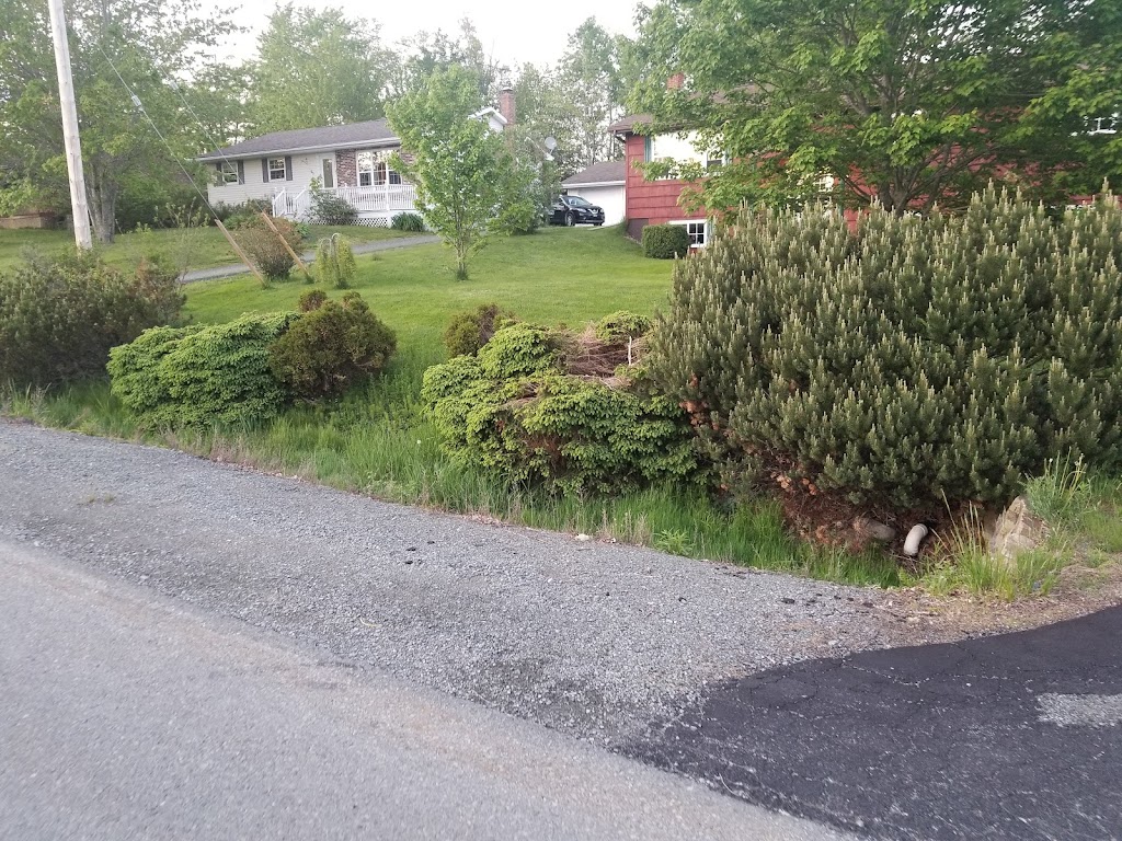 Clean Cut Property Services Limited | 317 Nova Scotia Trunk 2, Enfield, NS B2T 1E1, Canada | Phone: (902) 883-9053