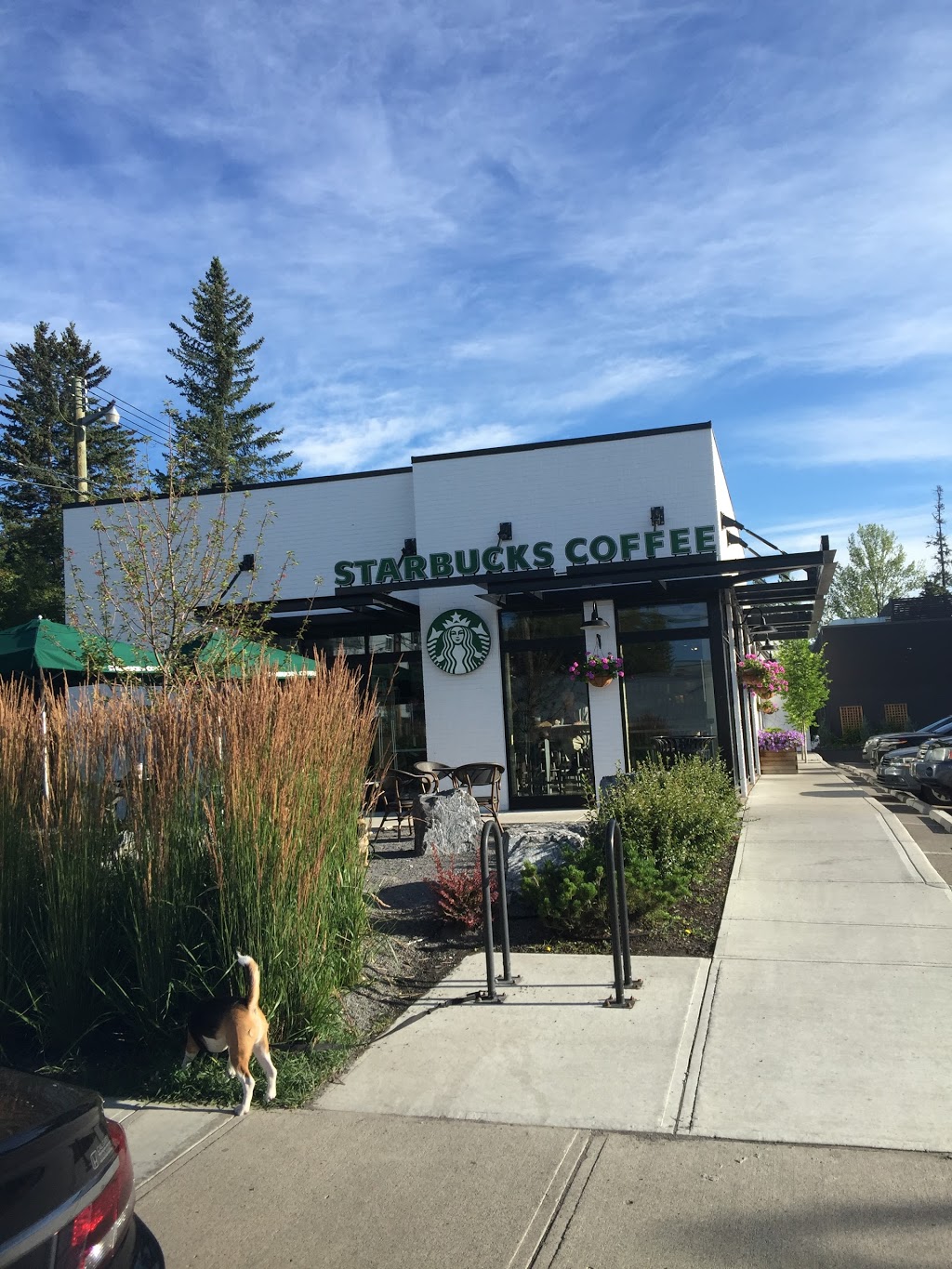 Starbucks | 2509 14 St SW, Calgary, AB T2T 3T8, Canada | Phone: (403) 243-8230
