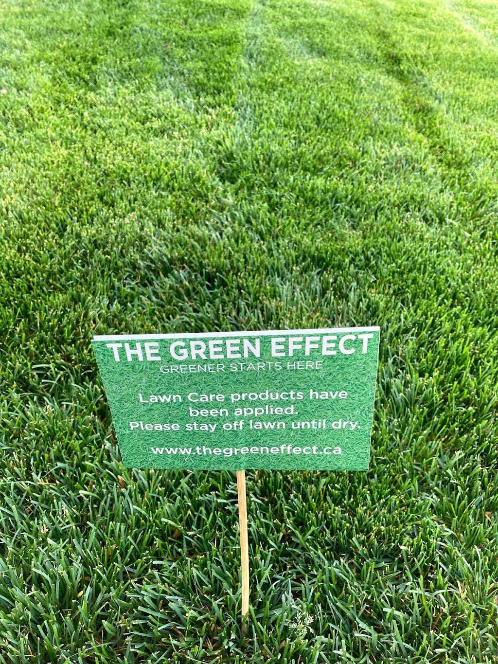 The Green Effect | 105 Somerside Green SW, Calgary, AB T2Y 3G6, Canada | Phone: (403) 863-0130