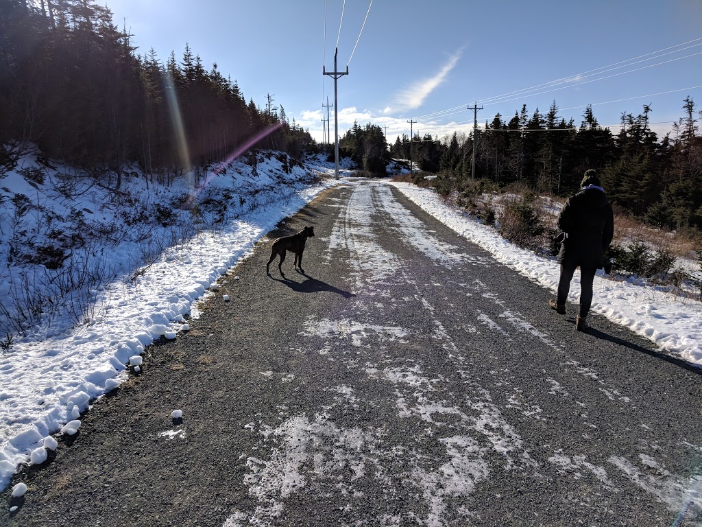 Overflow Parking | 5V3, 70 & 80 East White Hills Rd, St. Johns, NL A1A 5V3, Canada