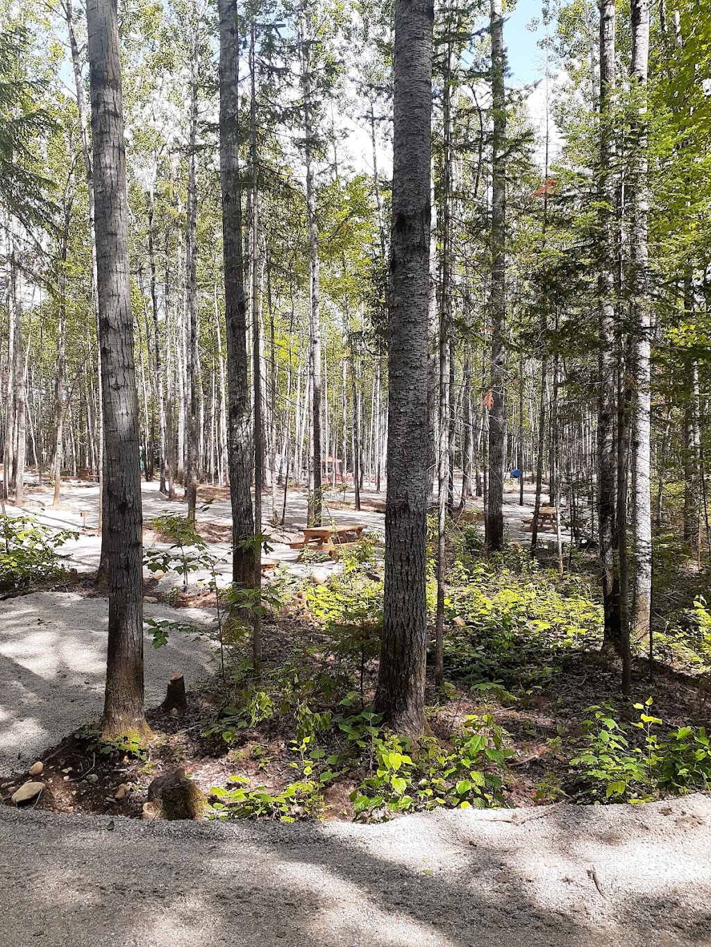 Camping Espace Air Pur | 55 Chem. des Pointes, Saint-Urbain, QC G0A 4K0, Canada | Phone: (418) 737-1437