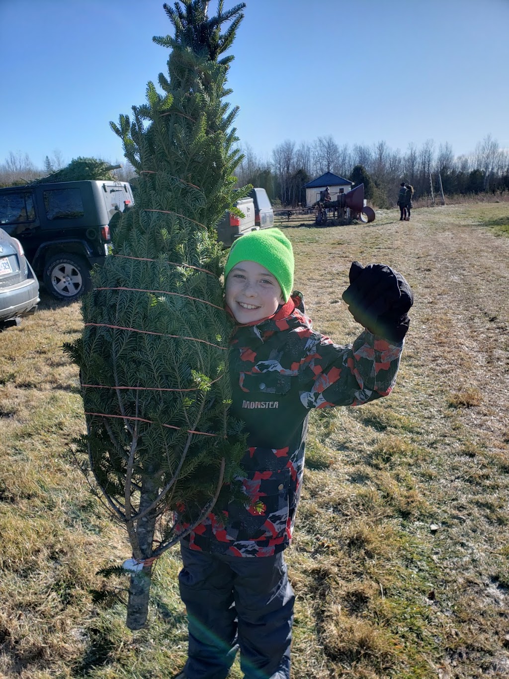 R & R Tree Farm | 7113 Brown Rd, Brockville, ON K6V 5T2, Canada | Phone: (613) 802-7625