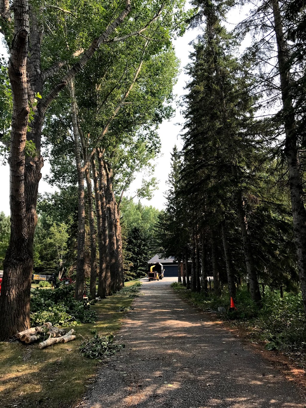 Bordernorth Tree Services & Construction | 224028 Priddis Ridge Rd W, Priddis, AB T0L 1W1, Canada | Phone: (587) 216-8372