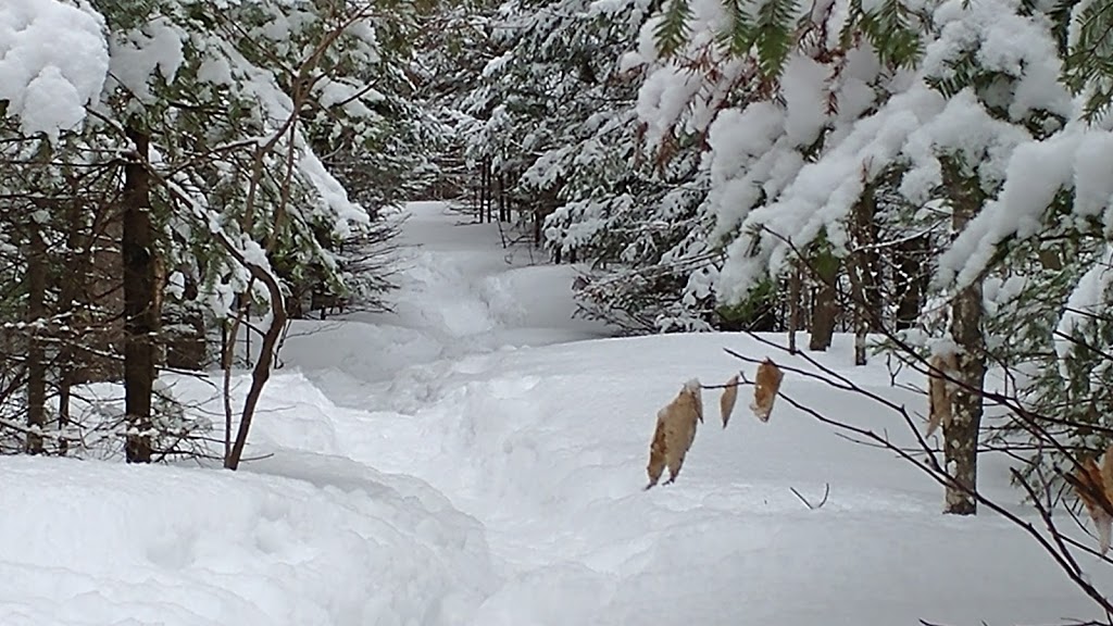 Parc des Résurgences | Boischatel, QC G0A 1H0, Canada