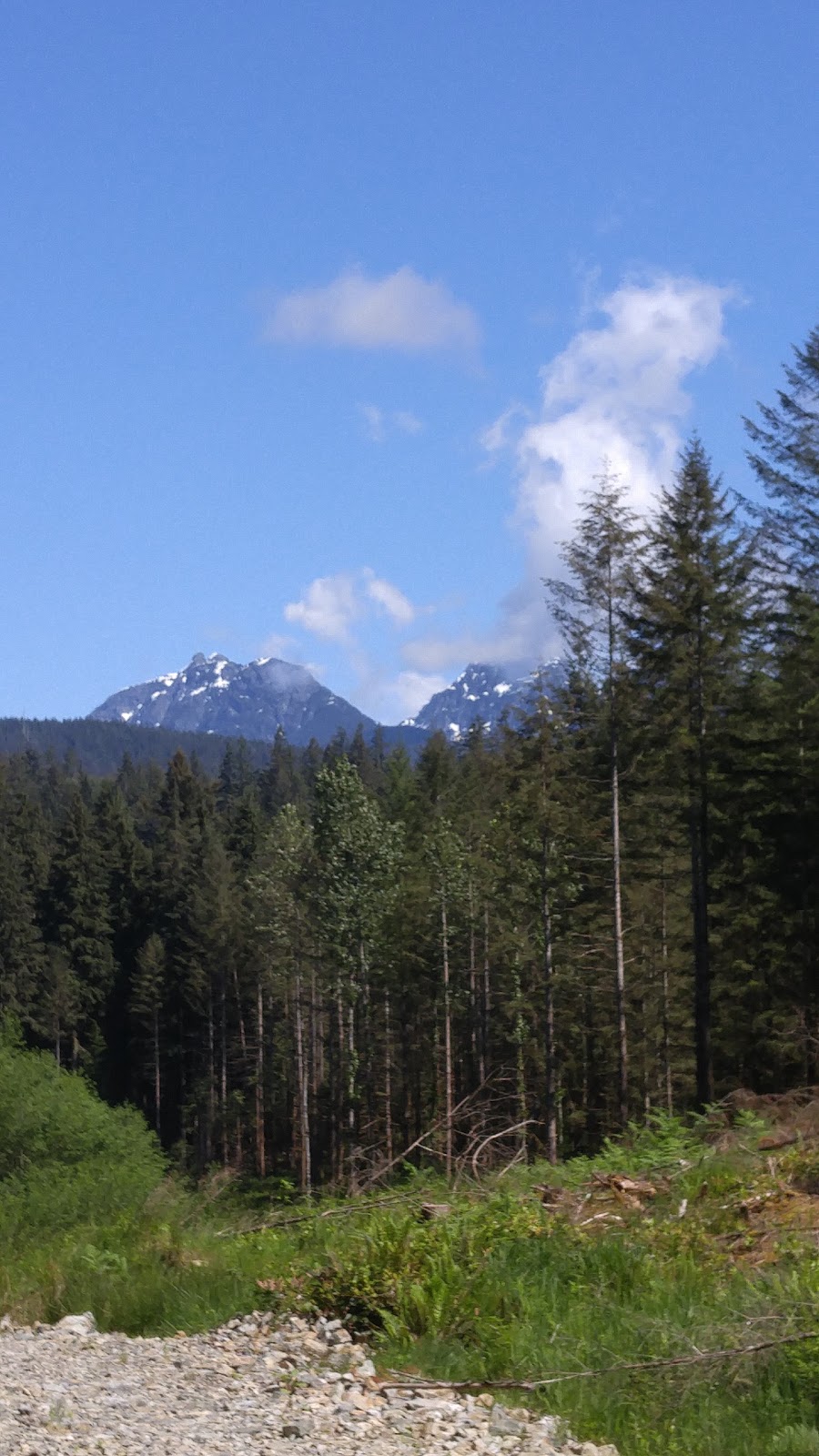QAI Labs Outdoor Test Site | Marc Rd, Maple Ridge, BC V4R 2G5, Canada | Phone: (877) 461-8378