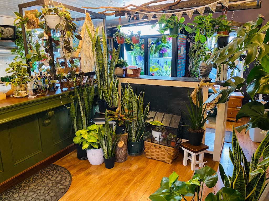 Fayes Wildflowers | 10 Pelham St, Lunenburg, NS B0J 2C0, Canada | Phone: (902) 634-8421