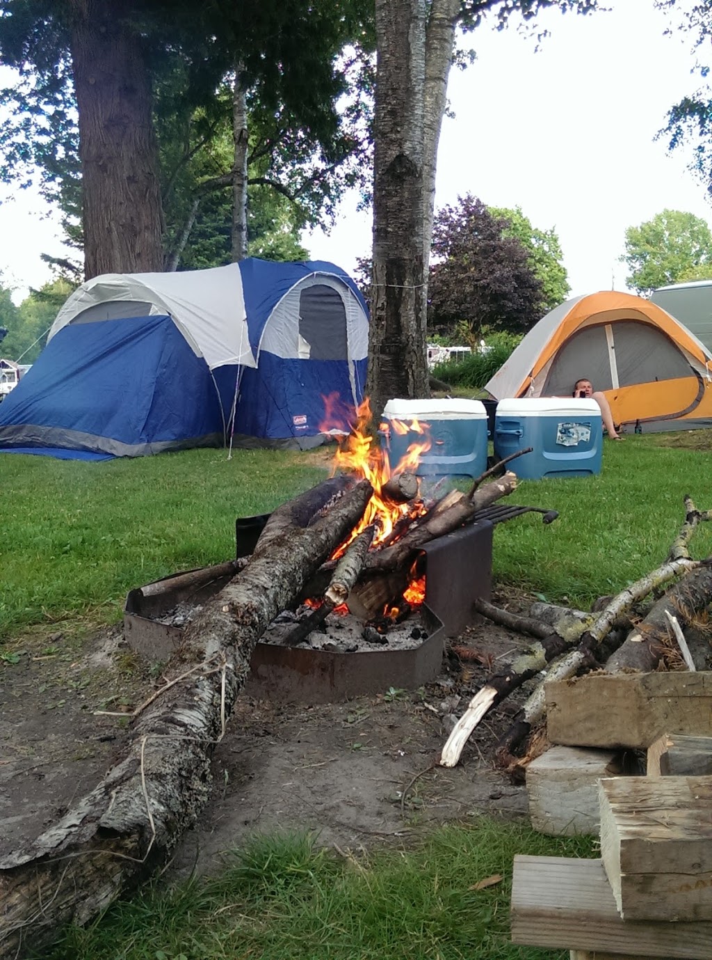 Hidden Village Rv Park & Campground | 7062 WA-539, Lynden, WA 98264, USA | Phone: (360) 398-1041