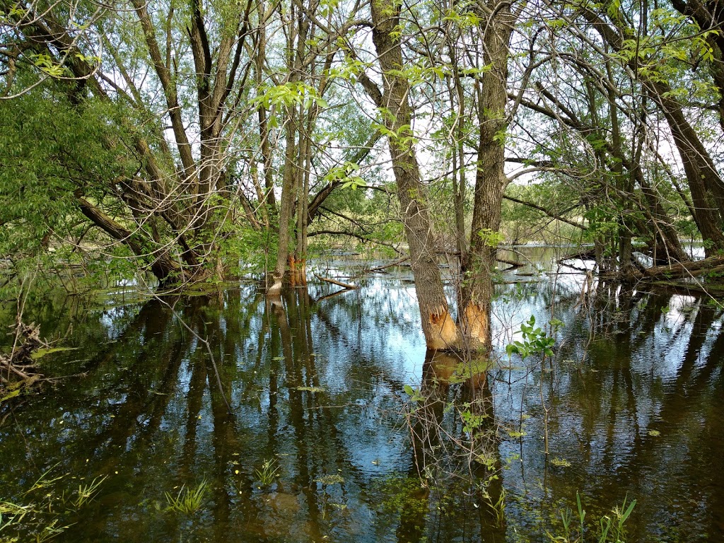 Parc de la Commune | Châteauguay, QC J6J, Canada | Phone: (450) 698-3000