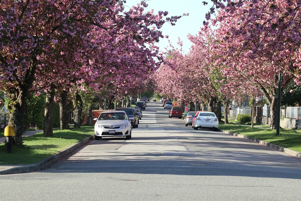 Tecumseh Park | 1751 E 45th Ave, Vancouver, BC V5P 1N6, Canada | Phone: (604) 873-7000