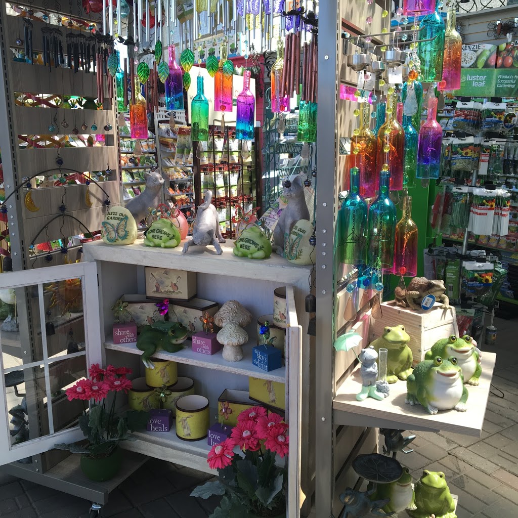 Dutch Growers Home & Garden | 3320 Pasqua St, Regina, SK S4S 7G8, Canada | Phone: (306) 721-4769