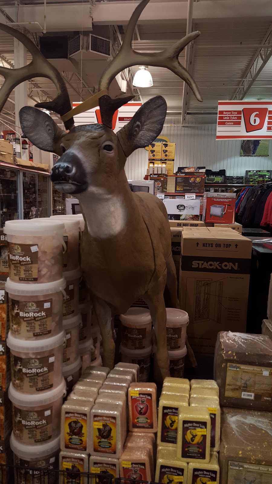 TSC Stores | 286 Toronto St S, Uxbridge, ON L9P 0C5, Canada | Phone: (905) 852-2494
