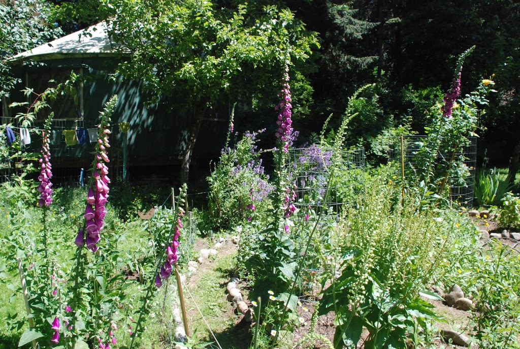 Tree Frog Farm | 3679 Sunrise Rd, Lummi Island, WA 98262, USA | Phone: (360) 758-7260