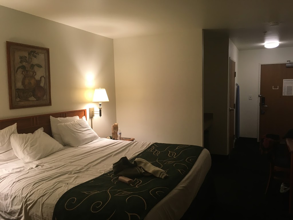 Baymont by Wyndham Buffalo | 3475 Union Rd, Buffalo, NY 14225, USA | Phone: (716) 391-0515
