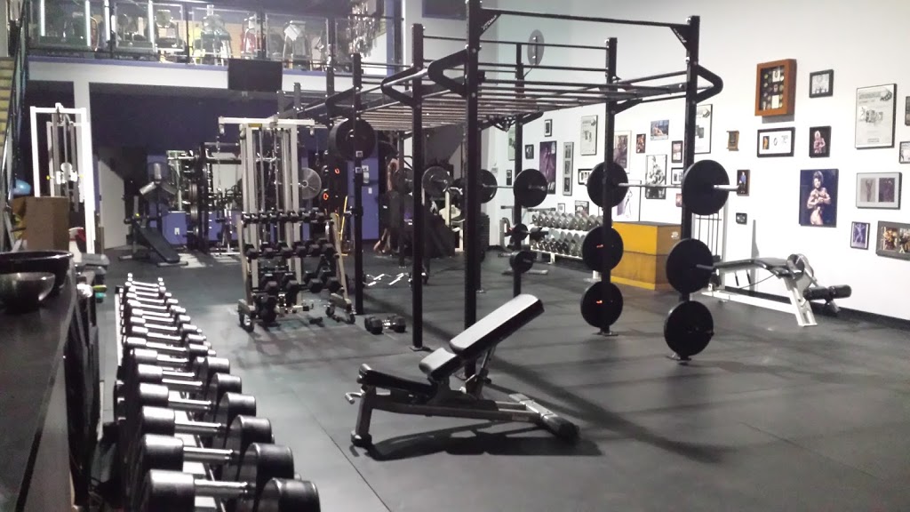 Gators Gym | 17670 65a Ave, Surrey, BC V3S 5N4, Canada | Phone: (604) 574-4811