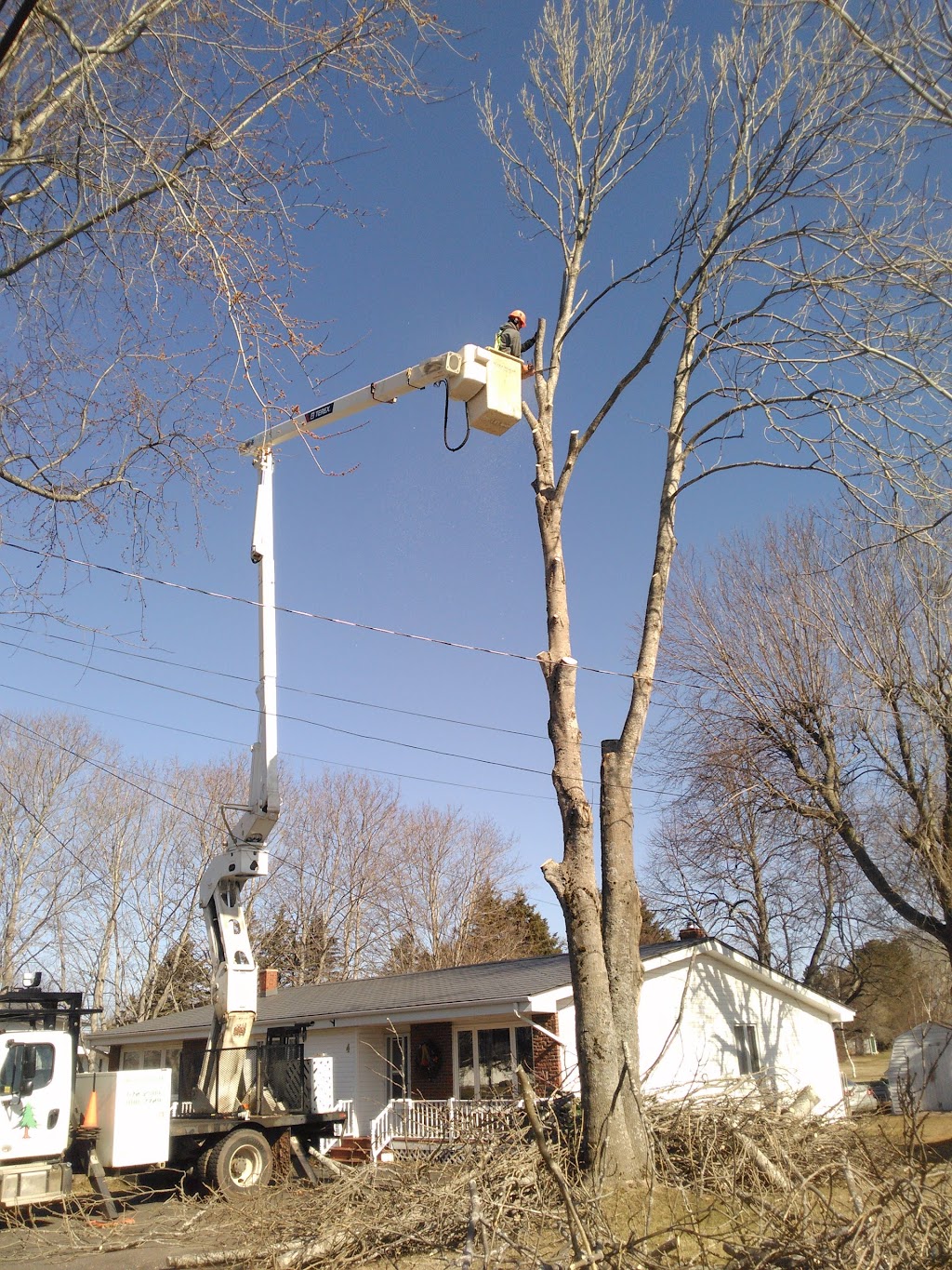 Jerry's Tree Service - 137 Lady Slipper Dr N, Miscouche, PE C0B 1T0, Canada