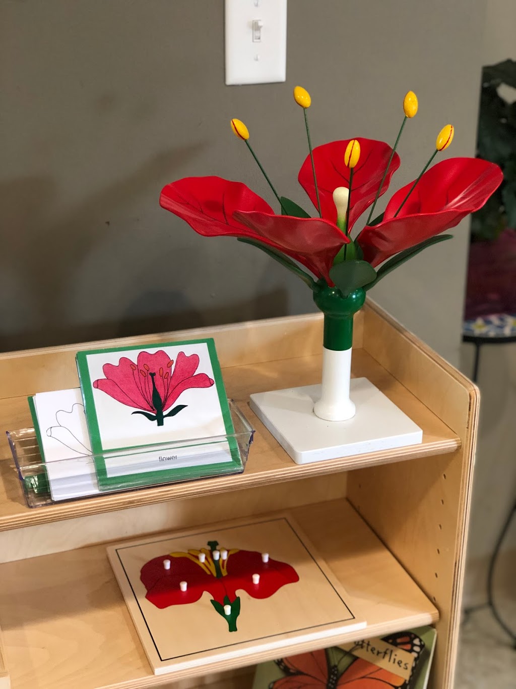 Green Tree Montessori Childrens Centre | 26489 Fraser Hwy, Aldergrove, BC V4W 3E2, Canada | Phone: (604) 625-4733