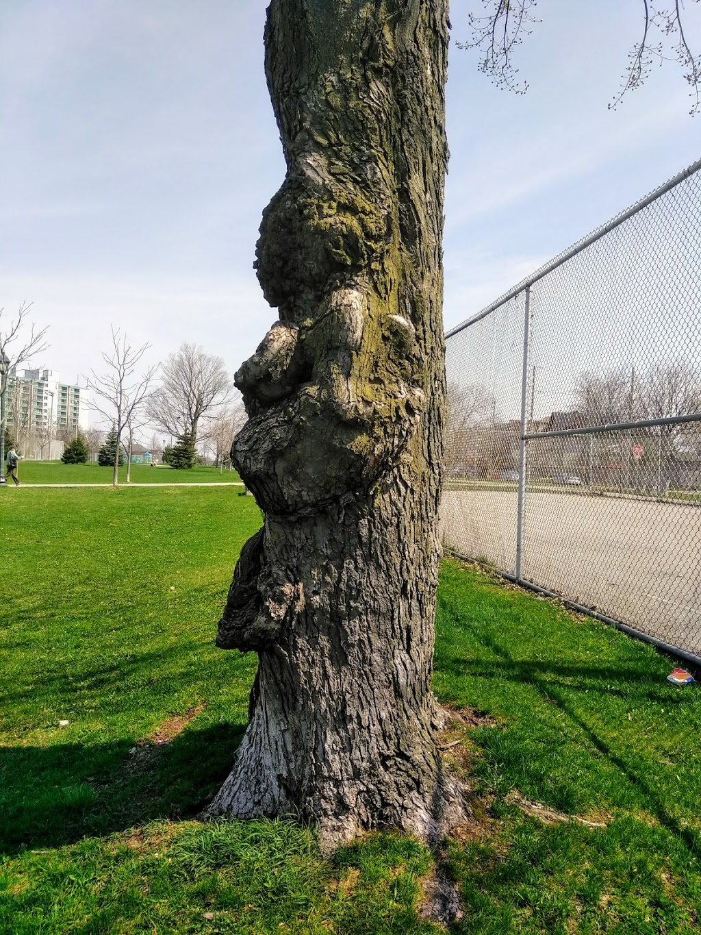 Victoria Park | 500 King St W, Hamilton, ON L8R, Canada | Phone: (905) 546-3725