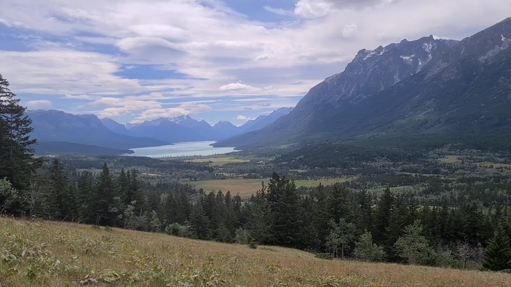 Bear Camp | Cariboo J, BC V0L 1W0, Canada | Phone: (778) 417-0091