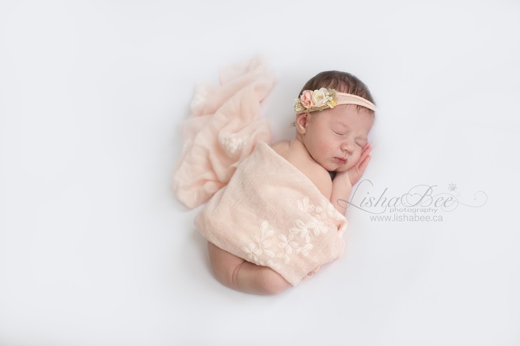 LishaBee Photography | 6 Carness Crescent, Keswick, ON L4P 0B6, Canada | Phone: (905) 716-2859