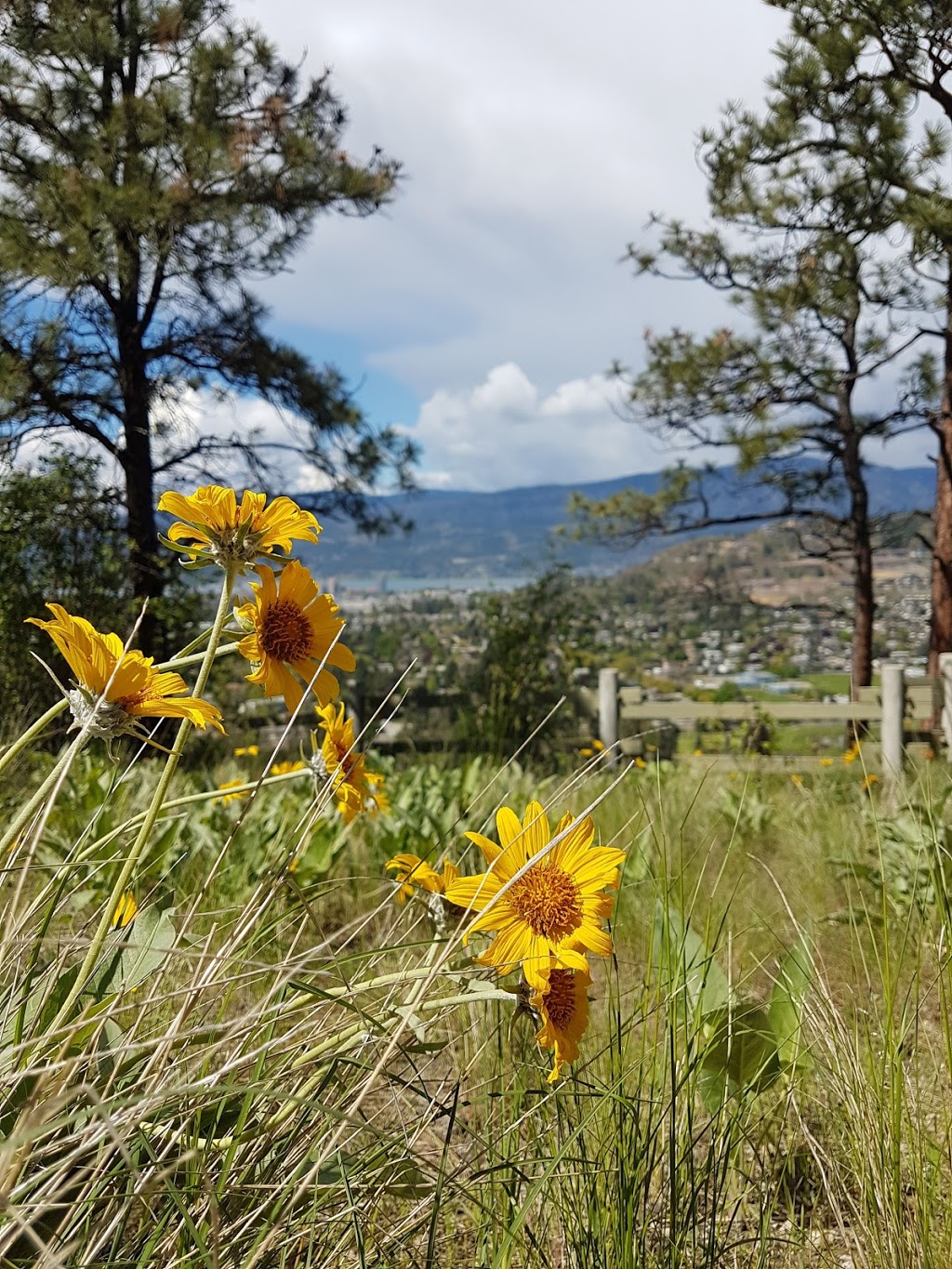 Sonora Park | 1559 Lindsay Dr, Kelowna, BC V1V 1T5, Canada