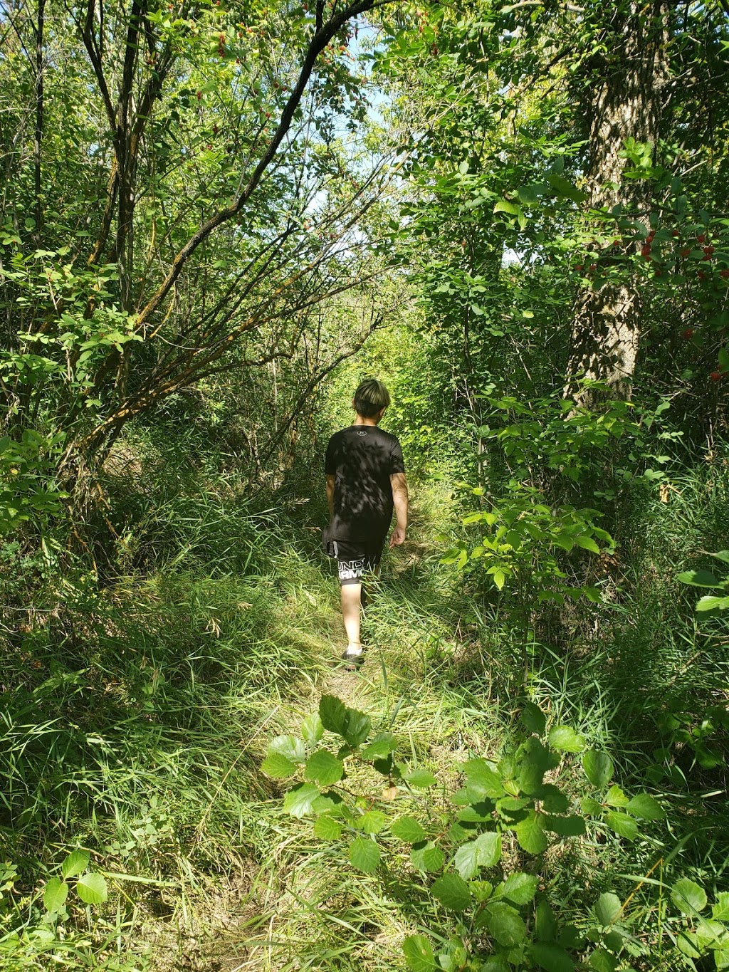 Connor Park | Laurel Rd, Bushell Park, SK S0H 0N0, Canada | Phone: (306) 692-8188