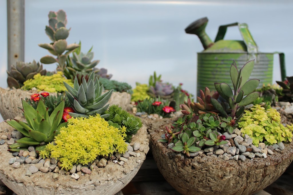 Cromarty Gardens | 2081 Cromarty Dr, Dorchester, ON N0L 1G5, Canada | Phone: (519) 268-0797