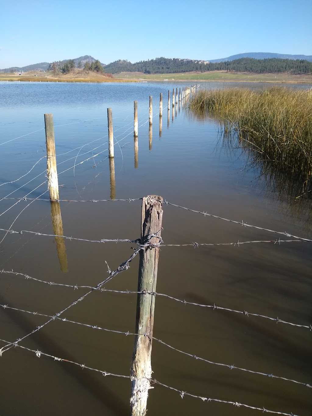 Robert Lake Regional Park | 956 Curtis Rd, Kelowna, BC V1V 2C9, Canada | Phone: (250) 763-4918