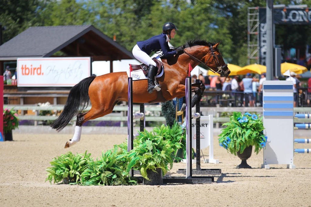 Cascadia Equestrian | 1511 Hovey Rd, Saanichton, BC V8M 1S7, Canada | Phone: (250) 580-2997