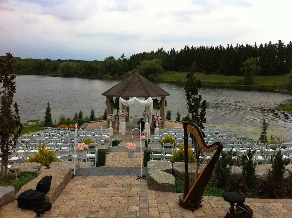Chantal Dube the Harpist | 249-, 7360 Zinnia Pl, Mississauga, ON L5W 2A2, Canada | Phone: (416) 909-9944