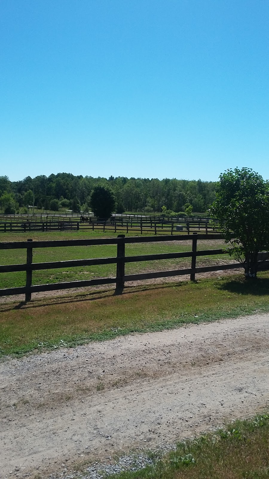Stonehaven Farm | point of interest | 2975 Pine Point Rd, Port Perry, ON L9L 1B4, Canada | 9059850706 OR +1 905-985-0706