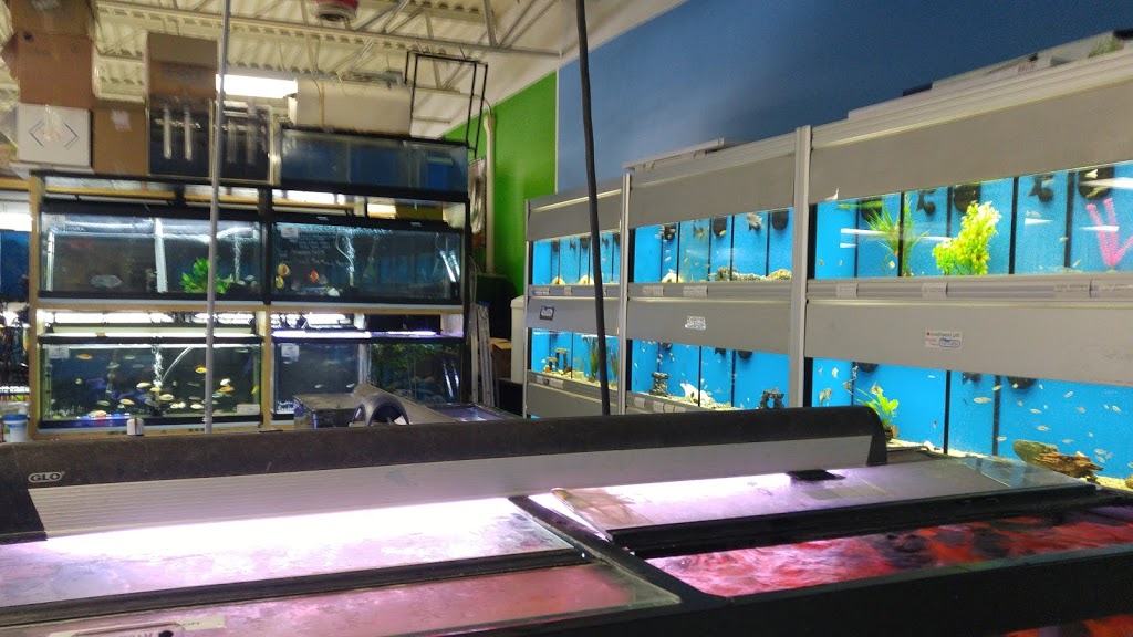 Southwest Pet - London Pet Store | 1641 Dundas St, London, ON N5W 3C3, Canada | Phone: (519) 451-7279