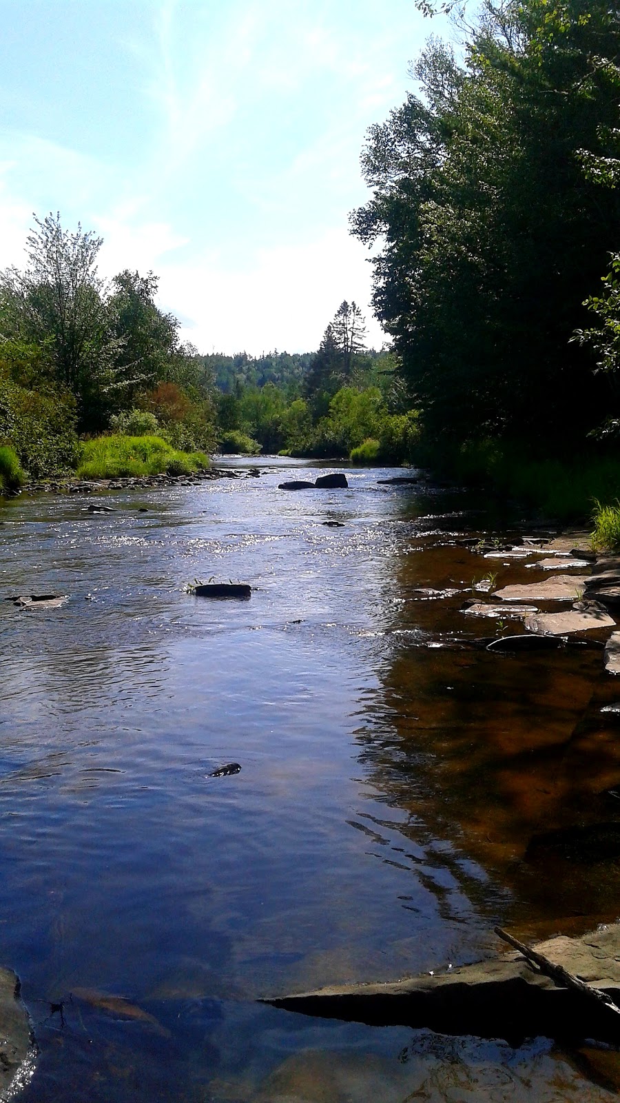 Little River Lodge | 4233 Rte 895, Little River, NB E4J 1S1, Canada | Phone: (506) 372-0085