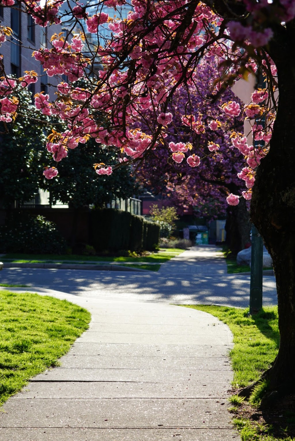 Vancouver School Board StrongStart Early Learning Centre | 2740 Guelph St, Vancouver, BC V5T 3P7, Canada | Phone: (604) 713-5290