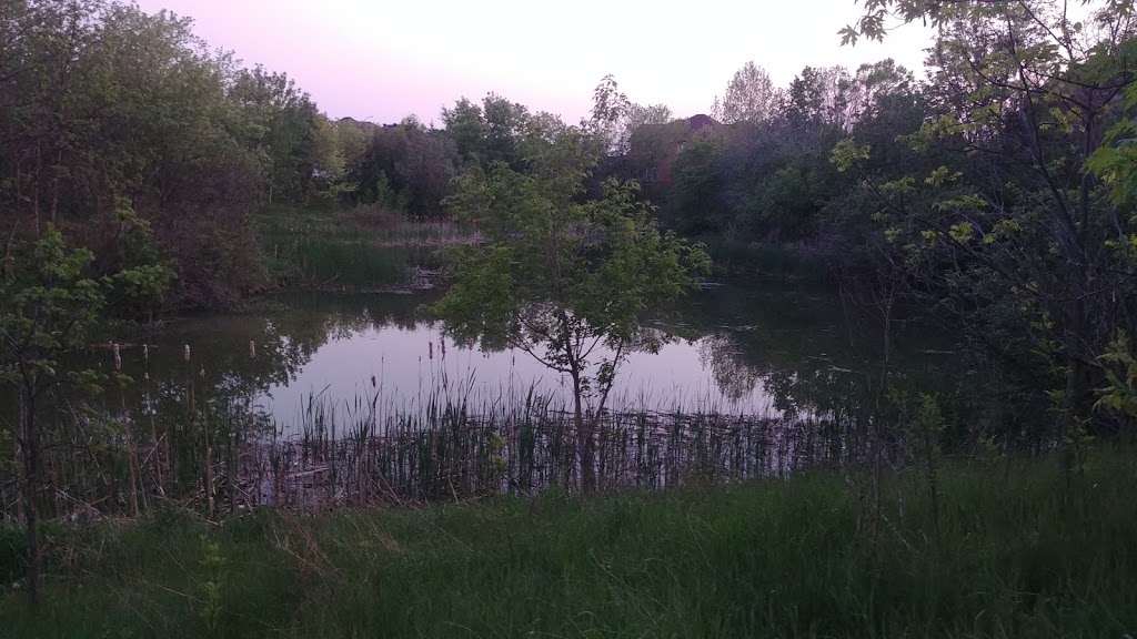 Walnut Grove Park | Jonagold Ct, Richmond Hill, ON L4S 1Y4, Canada | Phone: (905) 771-8870